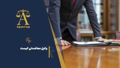 وکیل معاضدتی کیست